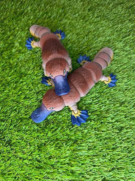 Platypus Flexi