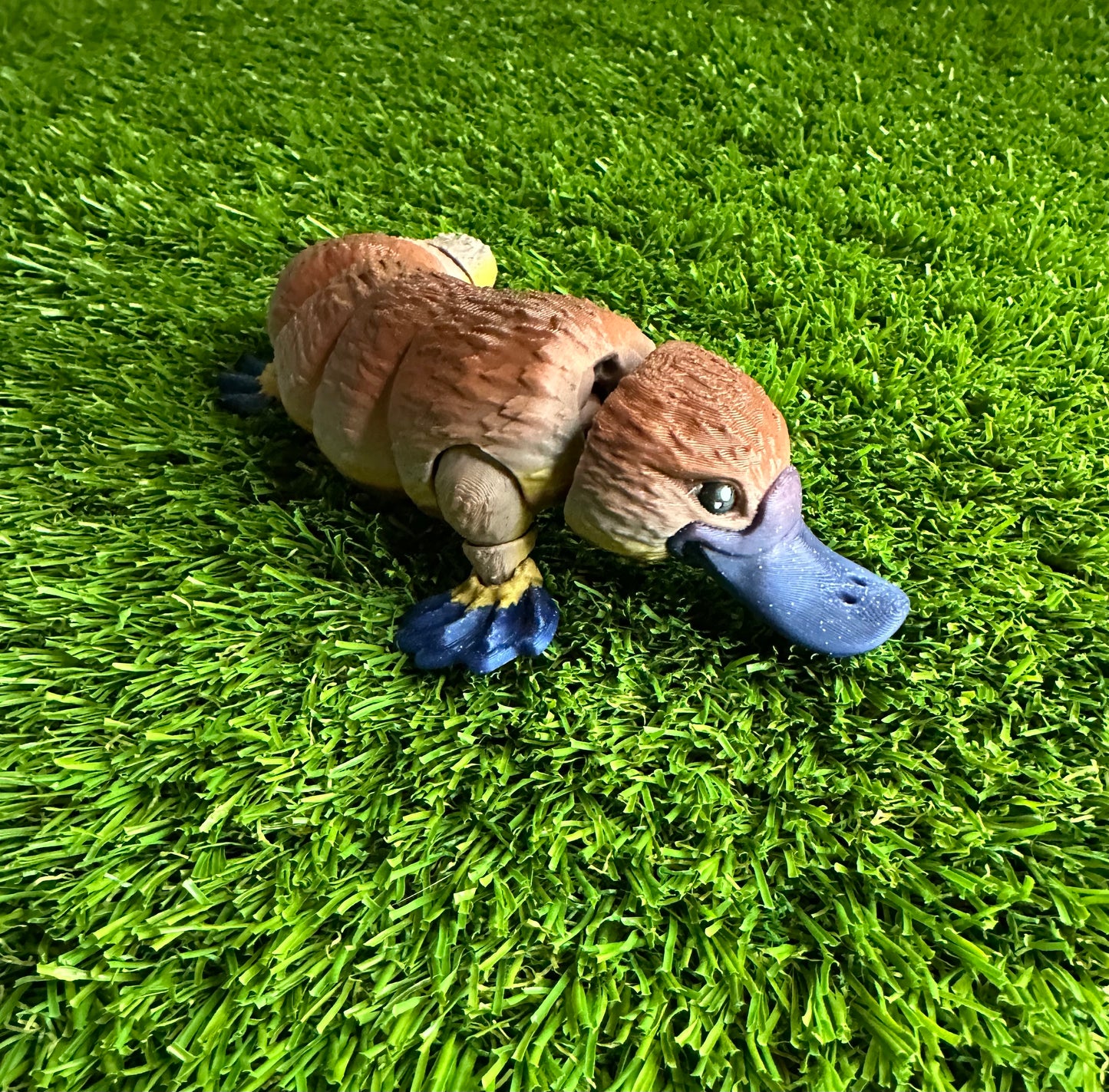 Platypus Flexi
